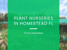 Plant Nurseries in Homestead FL