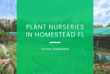 Plant Nurseries in Homestead FL