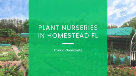 Plant Nurseries in Homestead FL
