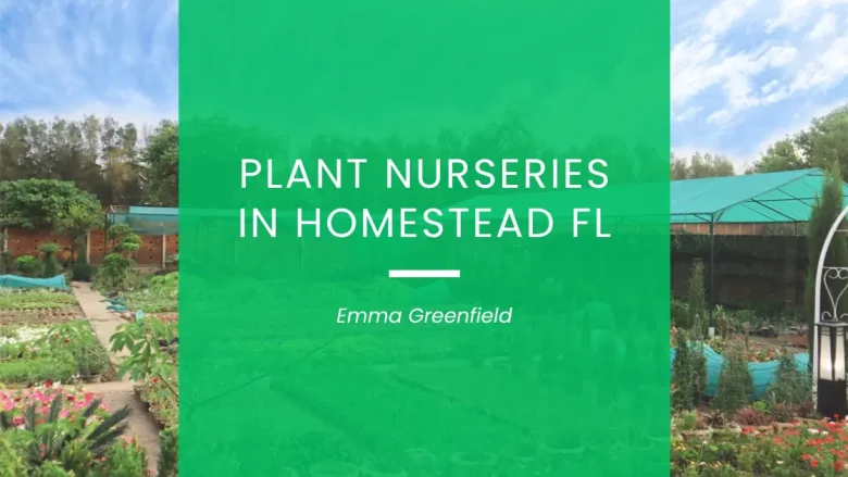 Plant Nurseries in Homestead FL