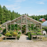 A small Maine garden center with greenhouses and a parking area on a sunny day