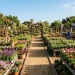 Colorful flowering plants and garden decor at a large California nursery