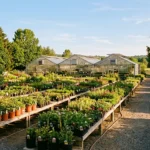 Outdoor garden center with greenhouses and rows of plants in north Idaho